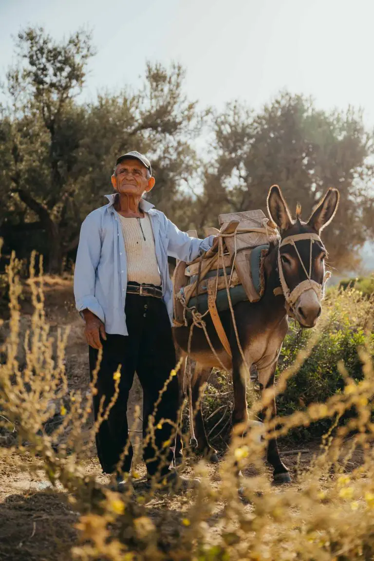 Voyage en Albanie : road trip de 7 jours en Albanie