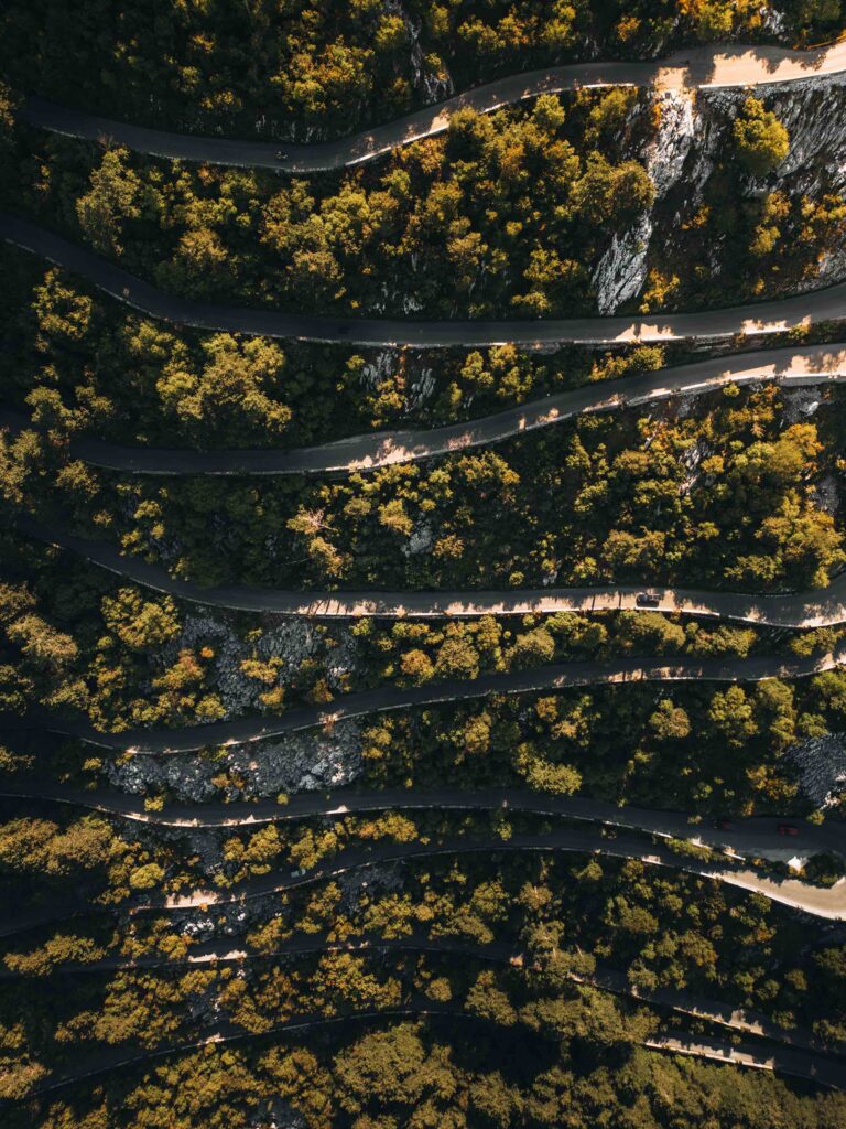 Llogara Pass Road Trees